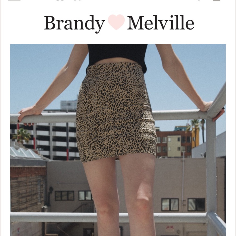 Brandy Melville Phoebe Skirt